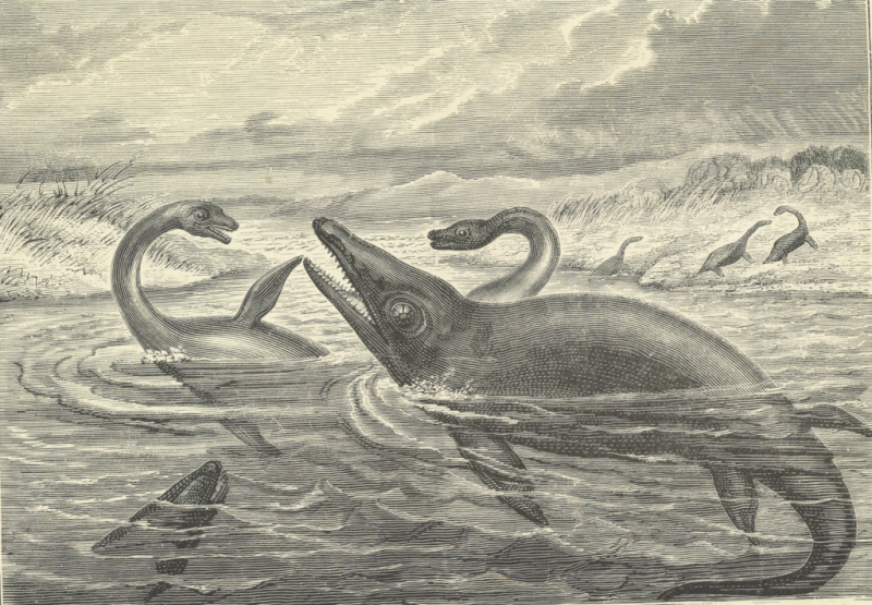 Plesiosaurus v souboji s Ichtyosaurem v představě vědců 19. století