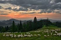 Národní park Pieniny je nejmenším slovenským národním parkem. Oblast je rozdělená mezi Slovensko a Polsko.