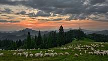 Národní park Pieniny je nejmenším slovenským národním parkem. Oblast je rozdělená mezi Slovensko a Polsko.