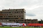 Choreografie fanoušků Slavie při utkání na Žižkově.