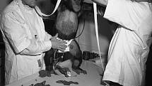 Před zkušebním letem museli asistenti obléci šimpanze Hama do skafandru