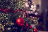 Bez překrásně nazdobeného stromku si dnes Vánoce nedokážeme představit. Víte ale, odkud tento zvyk pochází?