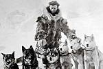Leonhard Seppala se svými psy poté, co na Aljašce absolvoval děsivou dálkovou štafetu, která v největších mrazech vezla sérum pro městečko Nome. Seppalův vůdčí pes spřežení Togo je na snímku zcela vlevo