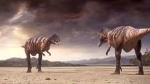 Jedním z dinosaurů žijících v Kem Kem byl Carcharodontosaurus, obří dravý teropod, jehož fosilii poprvé objevil v roce 1912 rodák z Čech, rakouský amatérský paleontolog Richard Markgraf