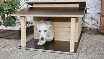 V Receptáři postavili luxusní psí boudu