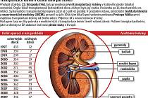 Stovky lidí čekají na náhradní ledvinu