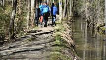 Horské lázně Karlova Studánka lákají klienty sloganem Naber sílu po covidu! Podstatou klimatoterapie je pohyb na čerstvém vzduchu.