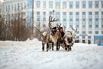 Norilsk se nachází za severním polárním kruhem