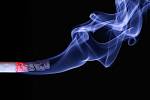 Nikotin je pouze jednou ze 4700 chemických sloučenin obsažených v cigaretovém kouři, prokazatelně je hlavní farmakologicky aktivní látkou