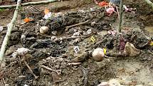 Exhumace masového hrobu u obce Potočari v Bosně a Hercegovině, kde se odehrály klíčové události masakru v Srebrenici v červenci 1995