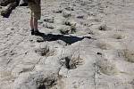 Apatosauří stezka, jak se zachovala v údolí řeky Purgatoire v Coloradu
