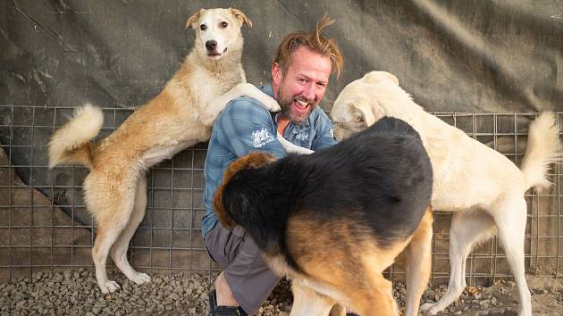 Pen Farthing se svými psy v afghánském Kábulu