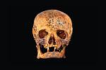 Na rozdíl od dolní části těla zůstala Mendelova lebka výborně zachovalá. Byl vytvořen také její digitální model, který poslouží dalším výzkumům
