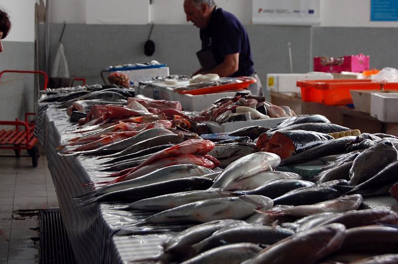 Mořských ryb ale Češi sní třikrát méně, než je evropský průměr.