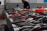 Mořských ryb Češi sní třikrát méně, než je evropský průměr.