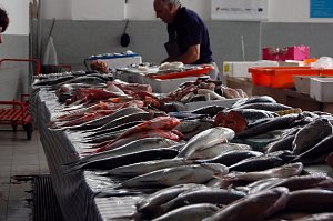 Mořských ryb Češi sní třikrát méně, než je evropský průměr.