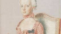Marie Antoinetta byla nejmladší dcerou Marie Terezie. Na obraze je zachycena jako sedmiletá