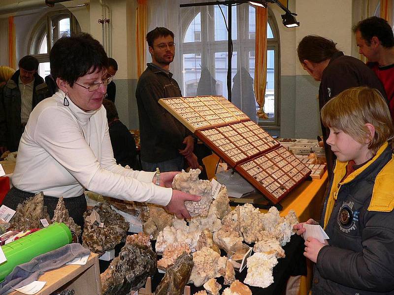 Burza minerálů, drahých kamenů, šperků a fosilií se v sobotu 10. prosince 2011 konala v Prácheňském muzeu v Písku. Je jedinou toho druhu na jihu Čech. Návštěvníci si mohli vybírat z nabídky 65 vystavovatelů.