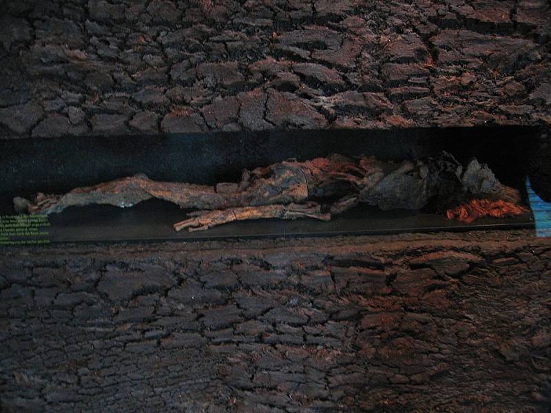 Bažinatá mumie muže z Husbäke, vystavená v zemském přírodovědném muzeu v Oldenburgu. Mumie byla objevena v roce 1936 ve Vehnemooru