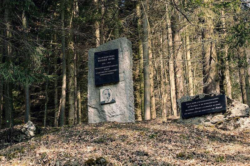 Les u Habrůvky na Blanensku. Památník Rudolf Haša - připomíná jednoho ze zakladatelů Školního lesního podniku Masarykův les.