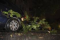 Strom spadlý na automobil během prudké noční bouře. Ilustrační foto