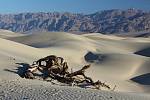Americké Údolí smrti je co se týče teploty vzduchu nejteplejším místem na Zemi. Navzdory extrémním teplotám ale v oblasti trvale žije několik stovek lidí, různé druhy hmyzu či plazů a ještěrek.
