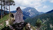 Rakouský národní park Kalkalpel je až ze čtyř pětin pokrytý lesy.