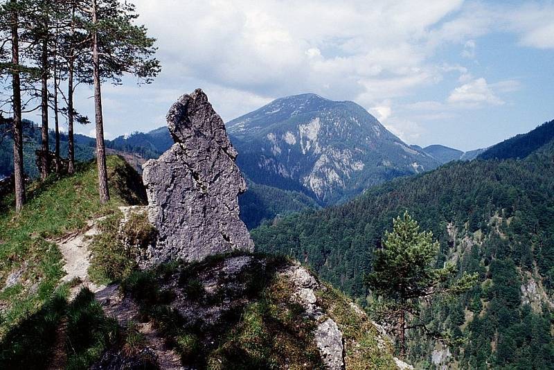 Rakouský národní park Kalkalpel je až ze čtyř pětin pokrytý lesy.