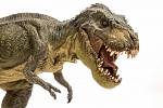 Tyrranosaurus dosahoval  v průměru délku asi 11 až 12,4 metru[7] a hmotnosti kolem 6000 kilogramů.