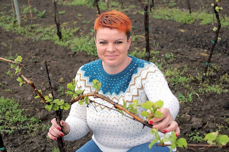 Nedaleká vesnice Kobylí má vinařství Zdena Čačíková.