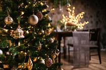 Hledat úsporu u vánoční dekorace rozhodně není na místě, tvrdí energetici
