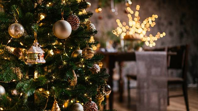 Hledat úsporu u vánoční dekorace rozhodně není na místě, tvrdí energetici