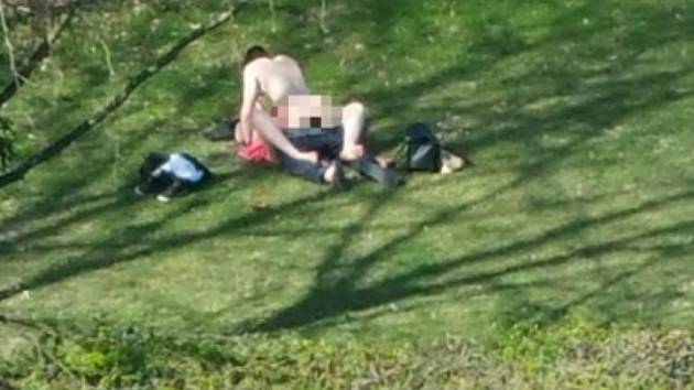 Milenci se oddávali sexu za bílého dne v parku uprostřed města Crawley.
