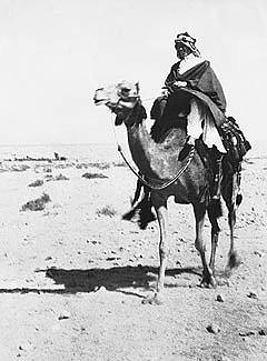 Thomas Edward Lawrence jako arabský válečník Lawrence z Arábie na velbloudu