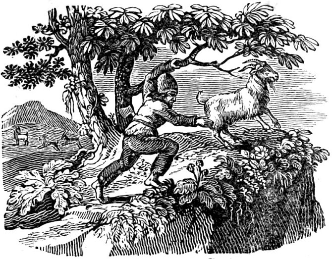 Alexander Selkirk chytá kozu, ilustrace Selkirkových dobrodružství