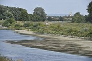 Vyschlé koryto řeky Moravy 23. srpna 2018 u Lanžhota na Břeclavsku.