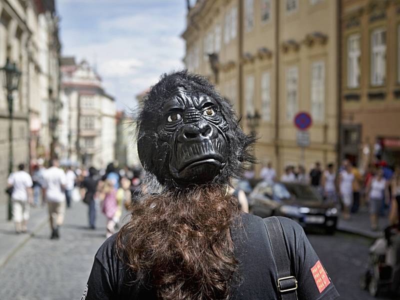 Čtvrtý ročník charitativního Běhu pro gorily v Praze.