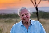  David Attenborough: Život na naší planetě