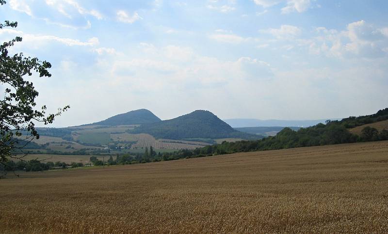 Radejčínská rozhledna