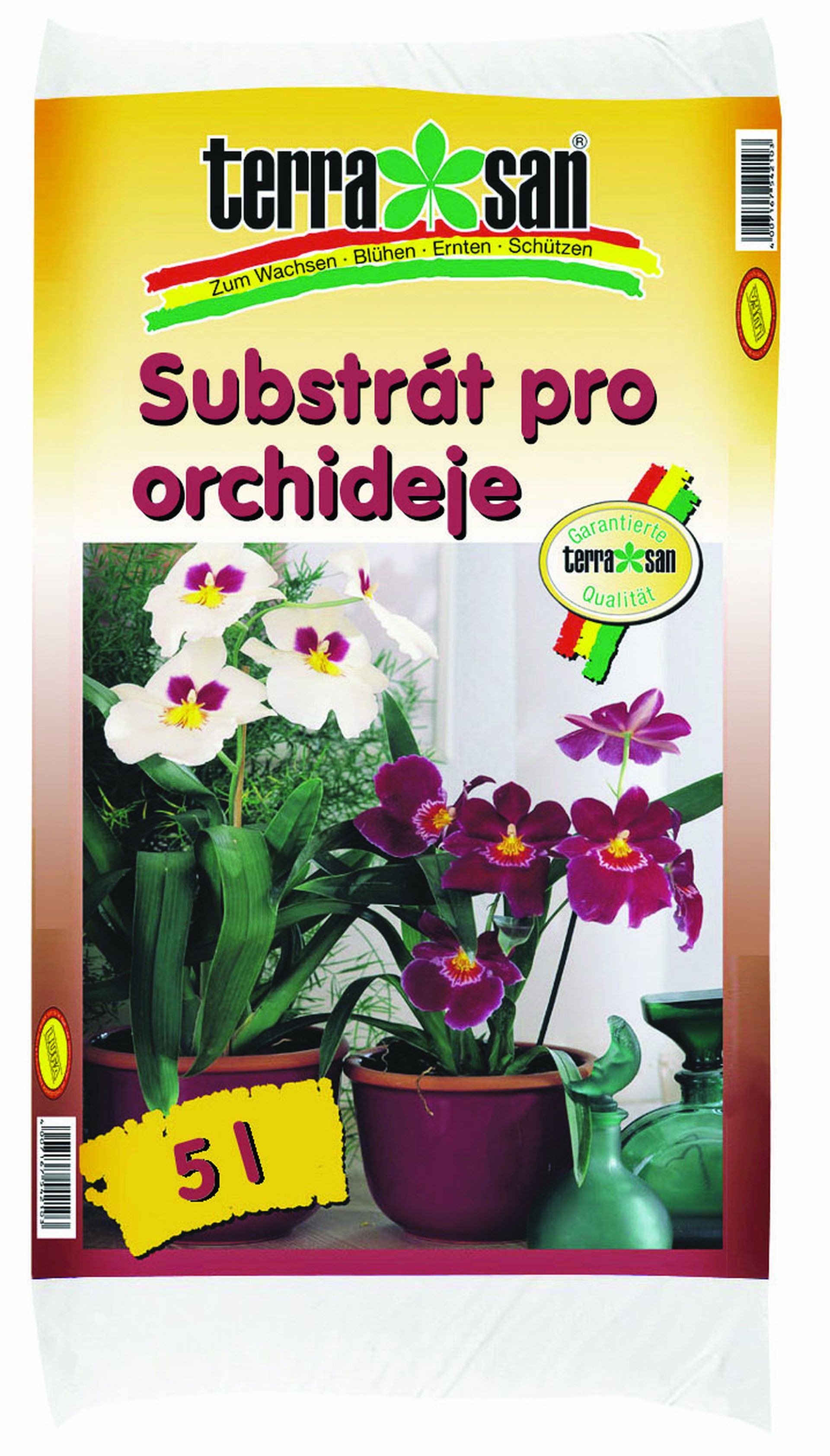 Jak pečovat o orchideje? - Deník.cz