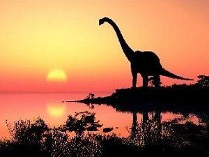 PADESÁT MINUT. Tak dlouho by na Zemi vládli dinosauři, kdyby se historie naší planety vtěsnala do jednoho dne. 