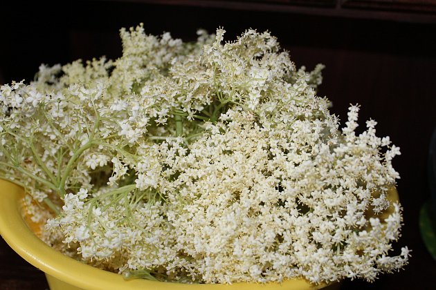 Voňavé bezové květy jsou plné různých silic.