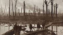 První světová válka (Belgie, 1917). Třetí bitva u Yper, známá též jako bitva u Passchendaele. Australští vojáci na dřevěném chodníku ve zničených lesích Château