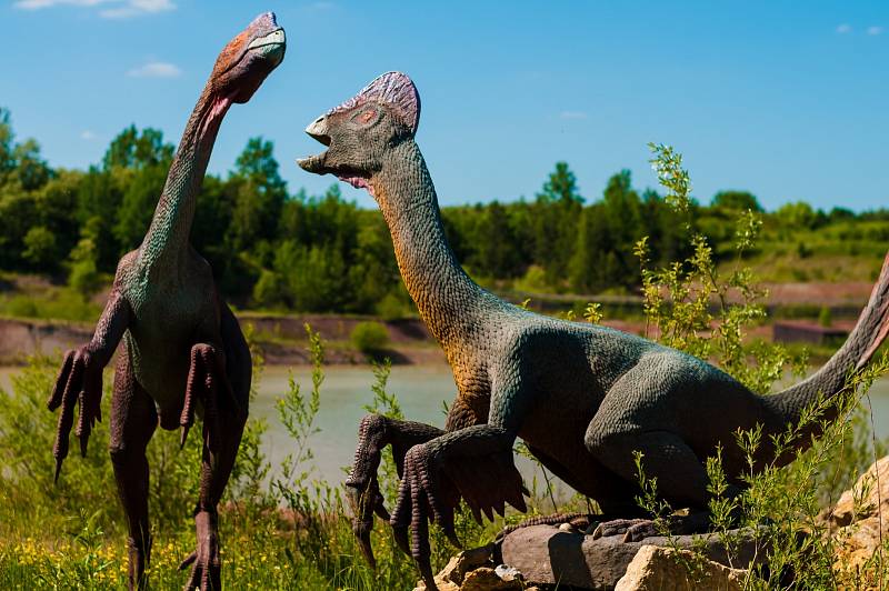 Dinosauři se teoreticky mohli rozmnožovat stejným způsobem jako dnešní ptáci