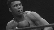 Muhammad Ali