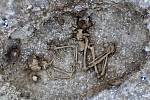 Squelette d'une jeune femme de vingt ans enterrée près de Stonehenge