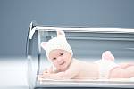 Podle statistiků podíl nedonošenců mezi novorozenci v posledních letech klesá