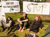 Blokáda Bělověžského pralesa v Polsku
