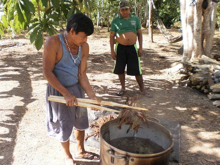 Indiáni připravující ayahuascu