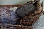 Hlava mumie z kultury Chinchorro, kterou našli v severní Chile.